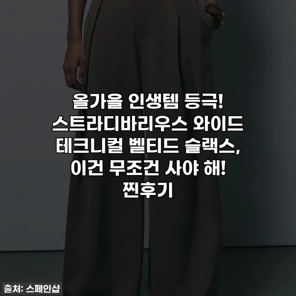 올가을 인생템 등극! 스트라디바리우스 와이드 테크니컬 벨티드 슬랙스, 이건 무조건 사야 해! 찐후기