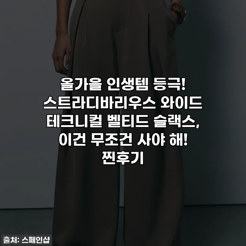 올가을 인생템 등극! 스트라디바리우스 와이드 테크니컬 벨티드 슬랙스, 이건 무조건 사야 해! 찐후기