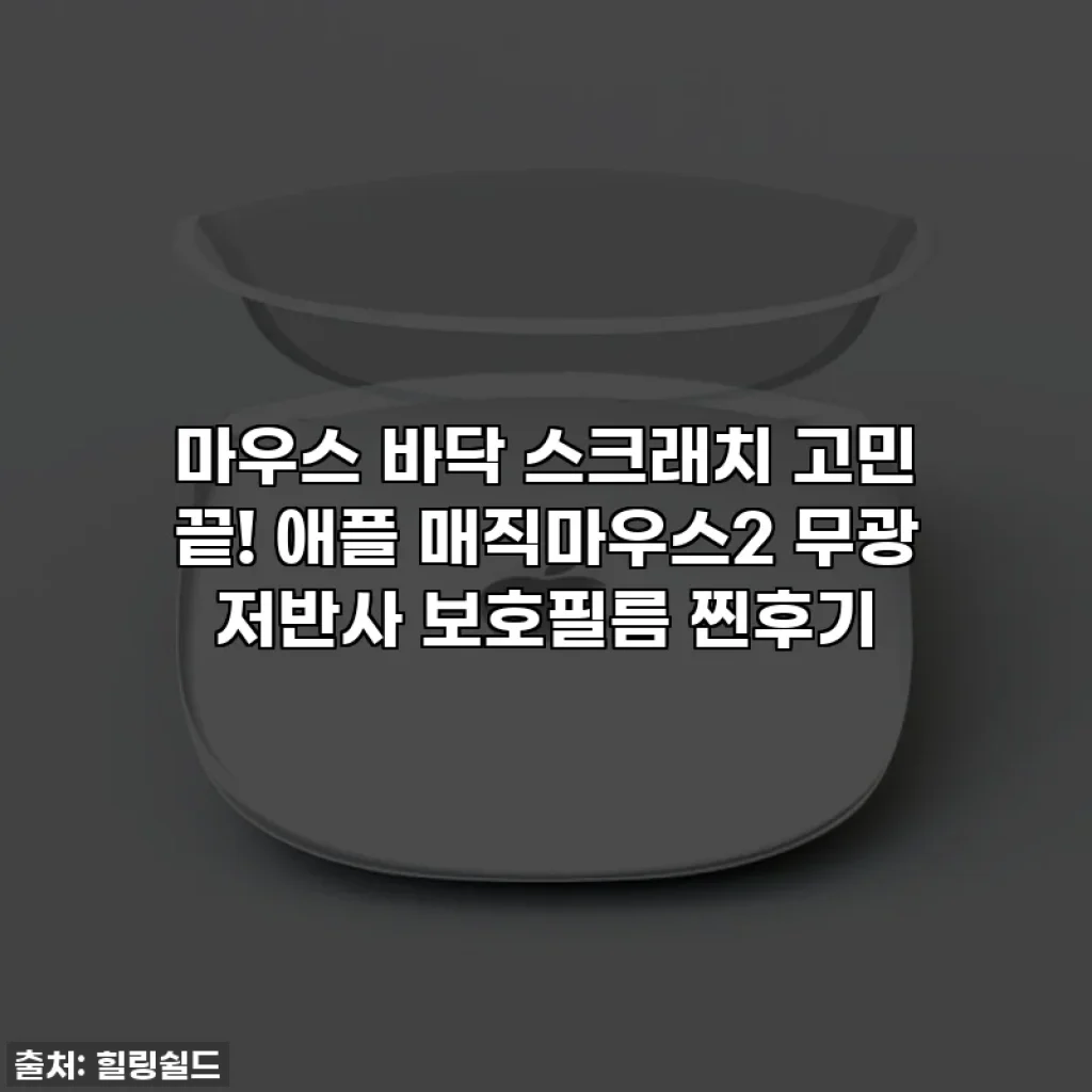 마우스 바닥 스크래치 고민 끝! 애플 매직마우스2 무광 저반사 보호필름 찐후기