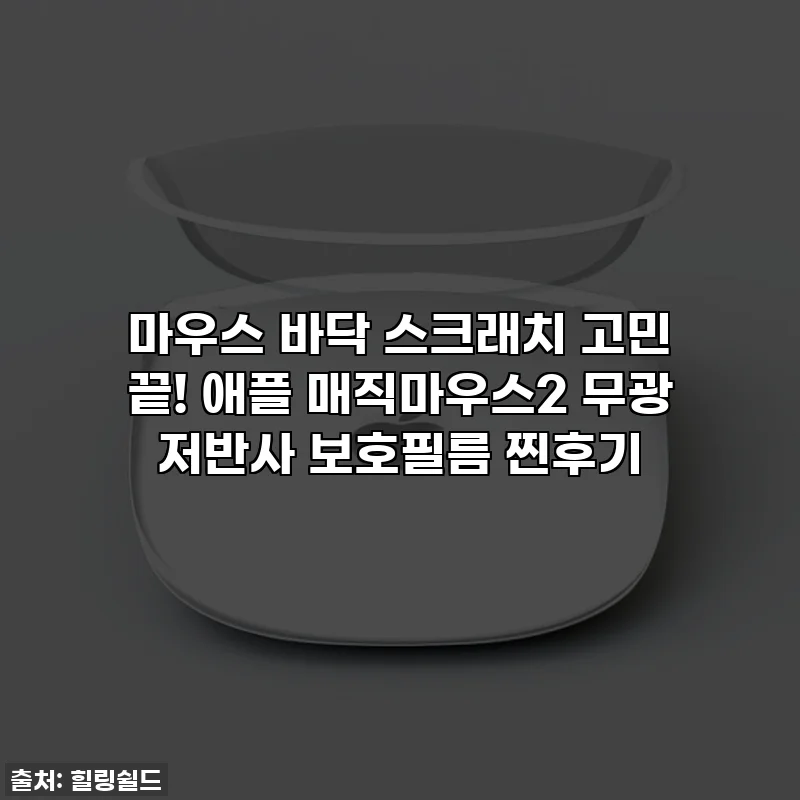 마우스 바닥 스크래치 고민 끝! 애플 매직마우스2 무광 저반사 보호필름 찐후기