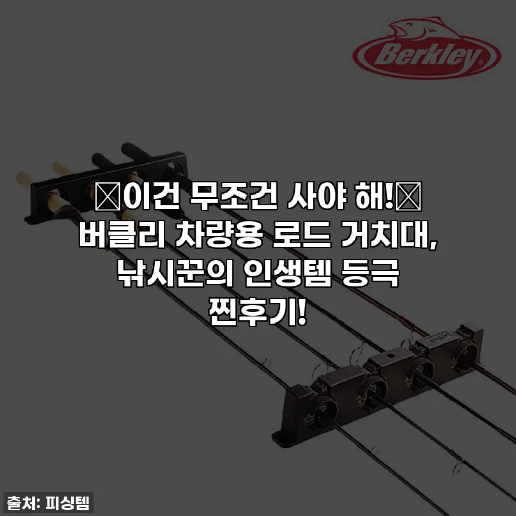 ✨이건 무조건 사야 해!✨ 버클리 차량용 로드 거치대, 낚시꾼의 인생템 등극 찐후기!