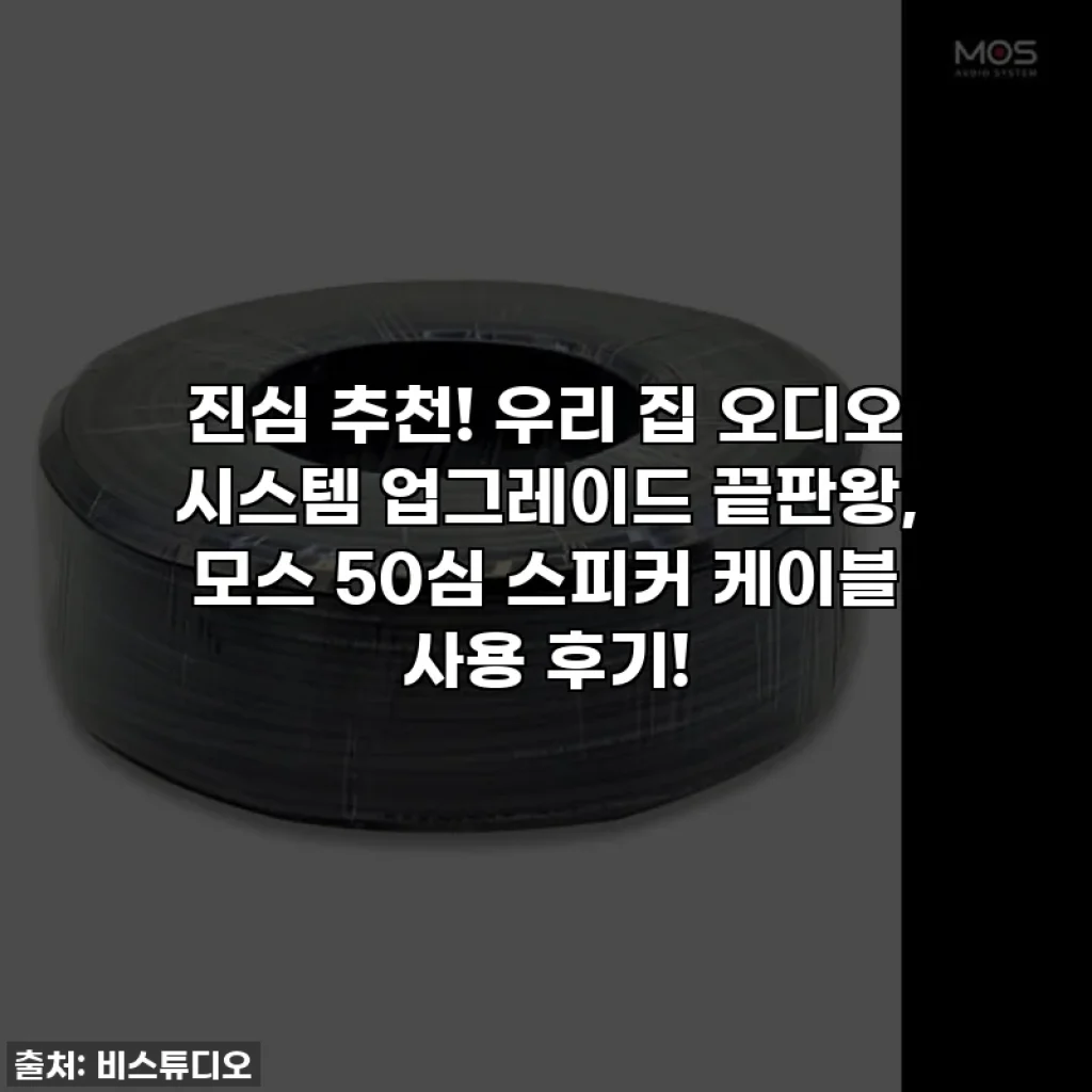 진심 추천! 우리 집 오디오 시스템 업그레이드 끝판왕, 모스 50심 스피커 케이블 사용 후기!