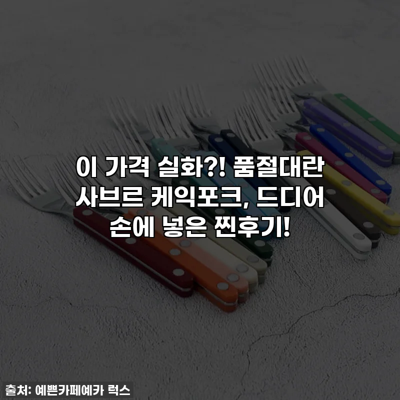 이 가격 실화?! 품절대란 사브르 케익포크, 드디어 손에 넣은 찐후기!