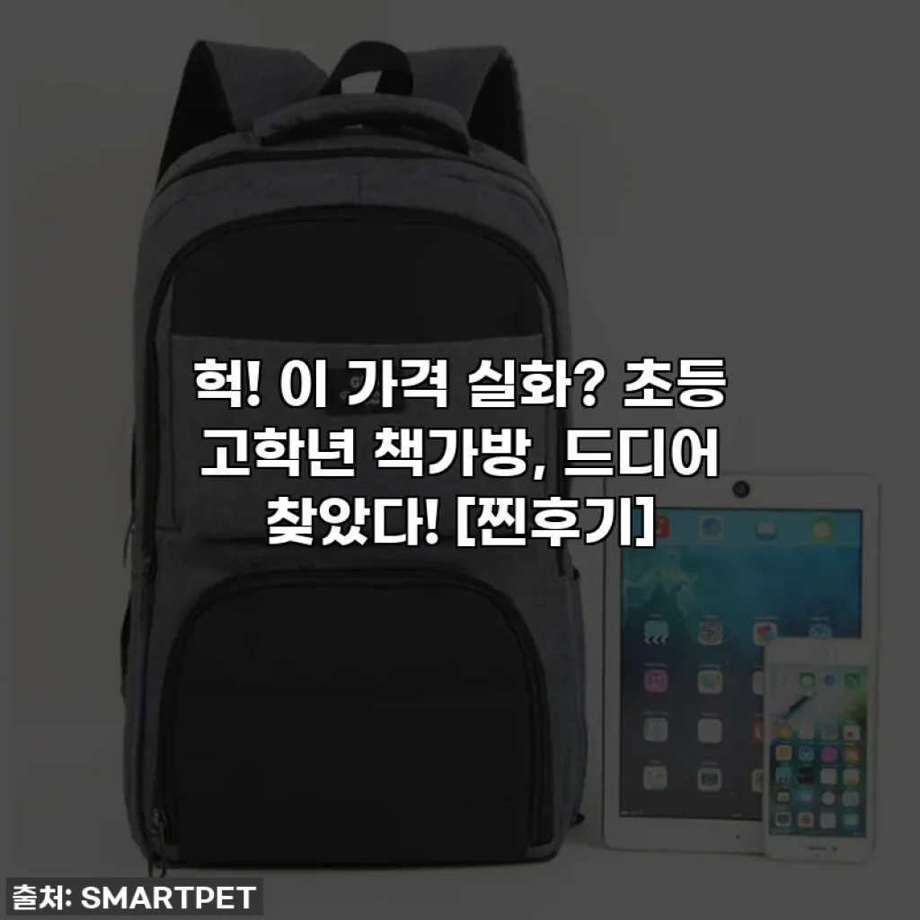 헉! 이 가격 실화? 초등 고학년 책가방, 드디어 찾았다! [찐후기]