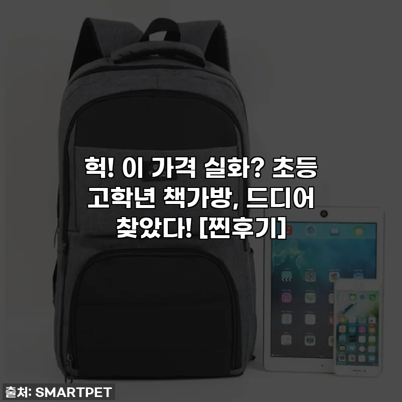 헉! 이 가격 실화? 초등 고학년 책가방, 드디어 찾았다! [찐후기]