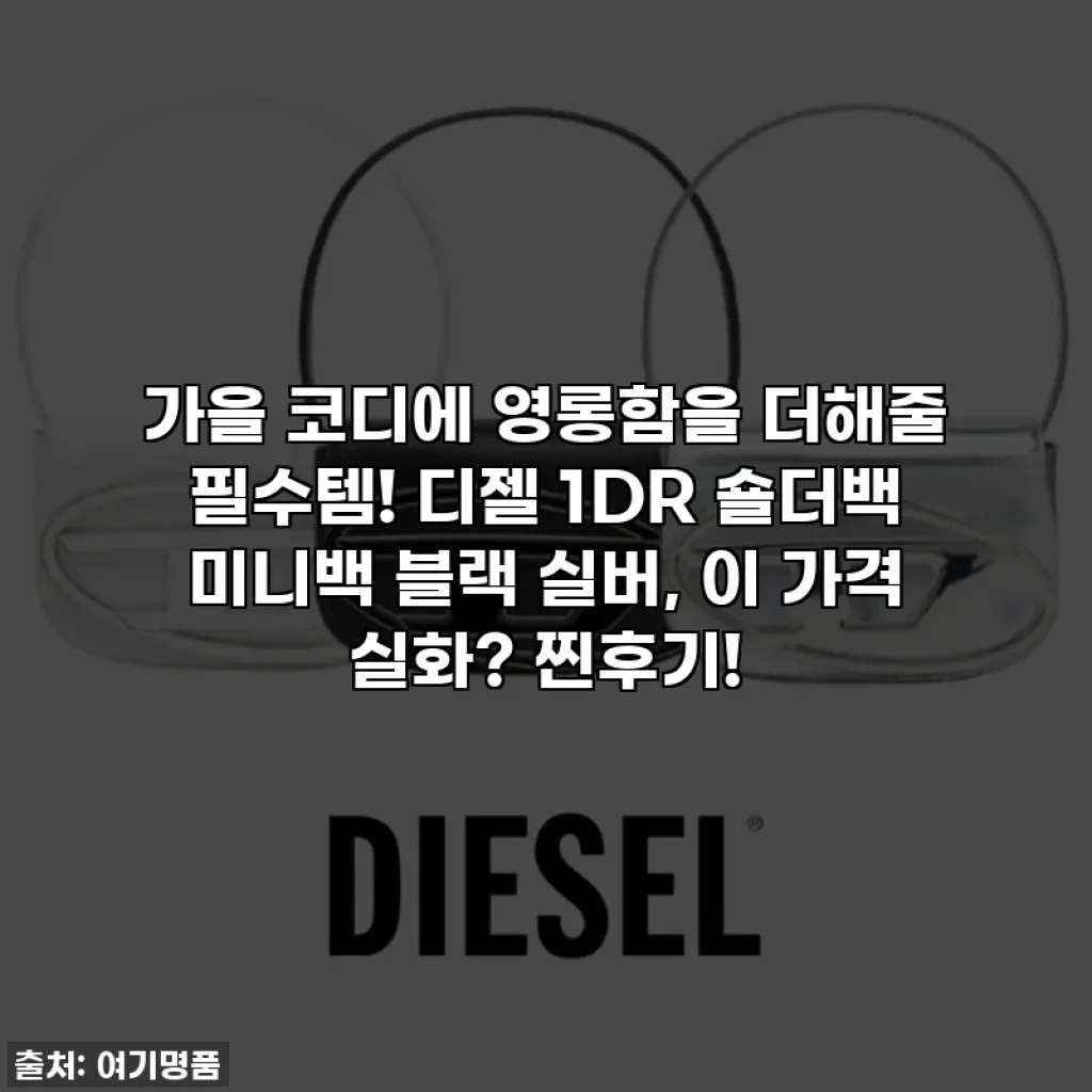 가을 코디에 영롱함을 더해줄 필수템! 디젤 1DR 숄더백 미니백 블랙 실버, 이 가격 실화? 찐후기!