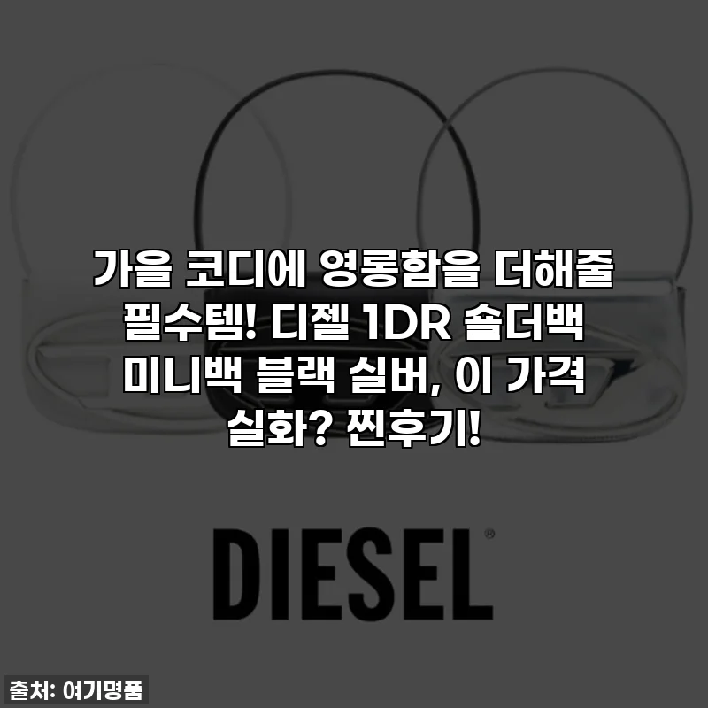 가을 코디에 영롱함을 더해줄 필수템! 디젤 1DR 숄더백 미니백 블랙 실버, 이 가격 실화? 찐후기!