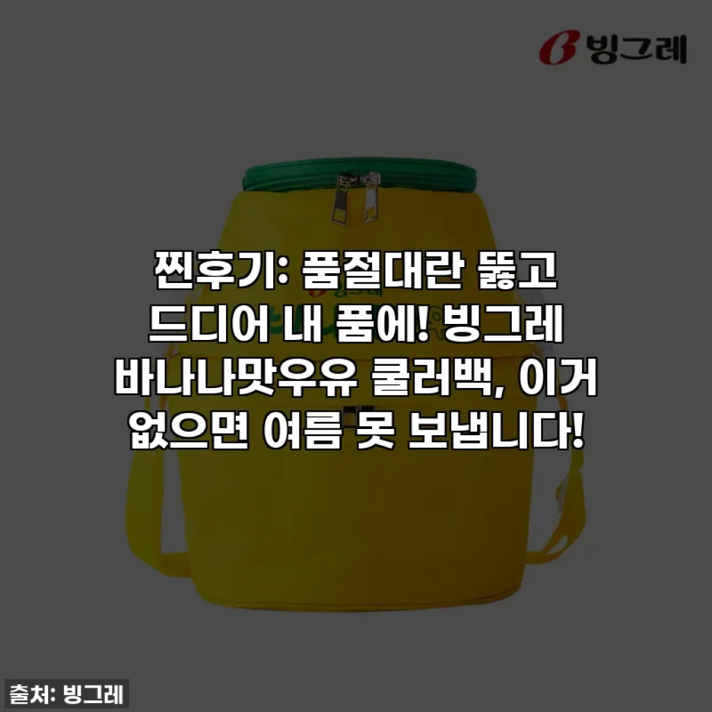 찐후기: 품절대란 뚫고 드디어 내 품에! 빙그레 바나나맛우유 쿨러백, 이거 없으면 여름 못 보냅니다!