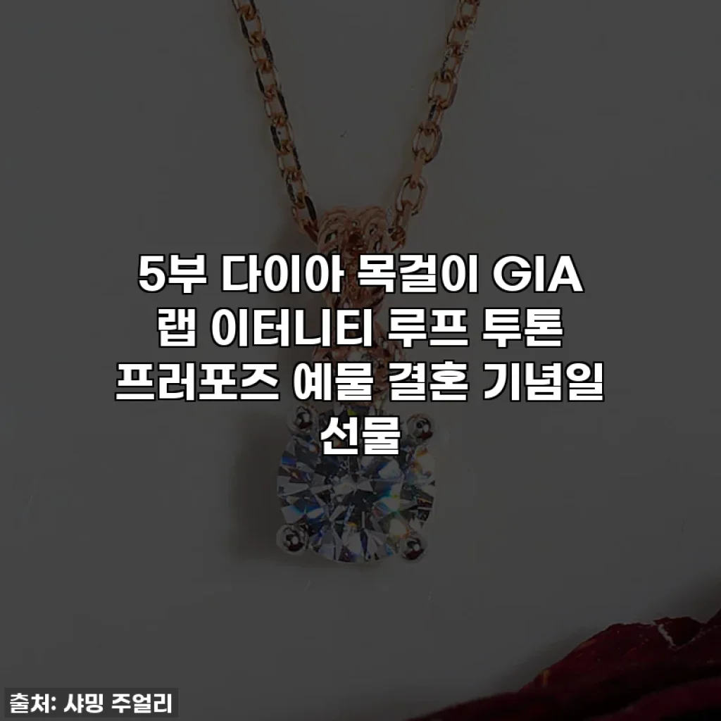5부 다이아 목걸이 GIA 랩 이터니티 루프 투톤 프러포즈 예물 결혼 기념일 선물