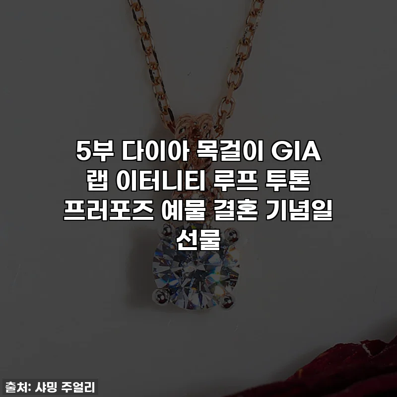 5부 다이아 목걸이 GIA 랩 이터니티 루프 투톤 프러포즈 예물 결혼 기념일 선물