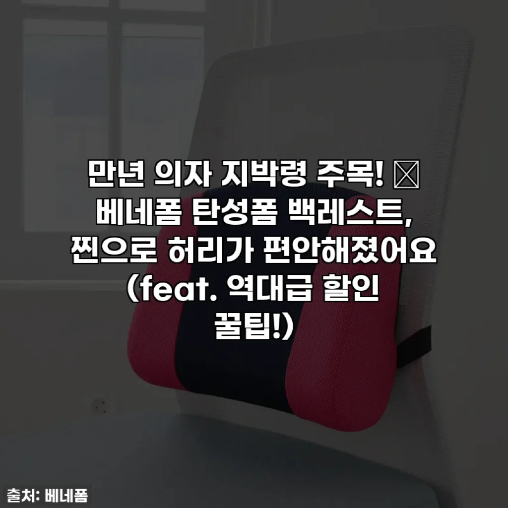 만년 의자 지박령 주목! 😌 베네폼 탄성폼 백레스트, 찐으로 허리가 편안해졌어요 (feat. 역대급 할인 꿀팁!)