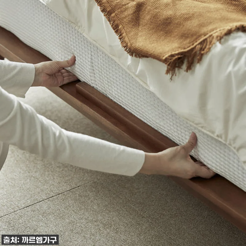 이 가격 실화?! 루크 고무나무 원목 관련 이미지 1