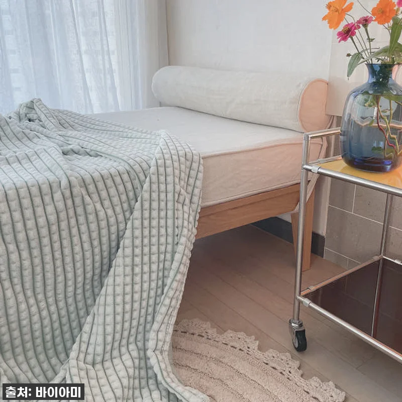 올겨울 필수템 등극! 와플 밍크 담요 관련 이미지 2