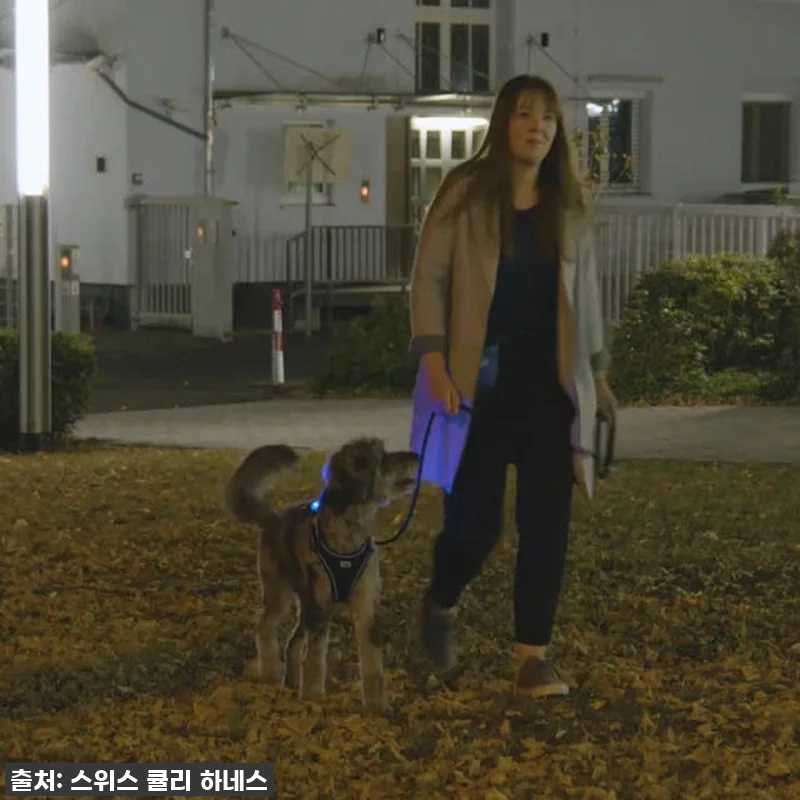 찐후기: 밤산책이 이렇게 안전하고 즐 관련 이미지 5