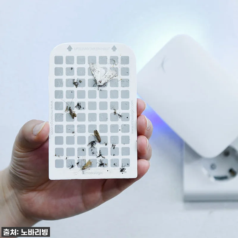 지금 안 사면 후회! 노바리빙 모기 관련 이미지 6