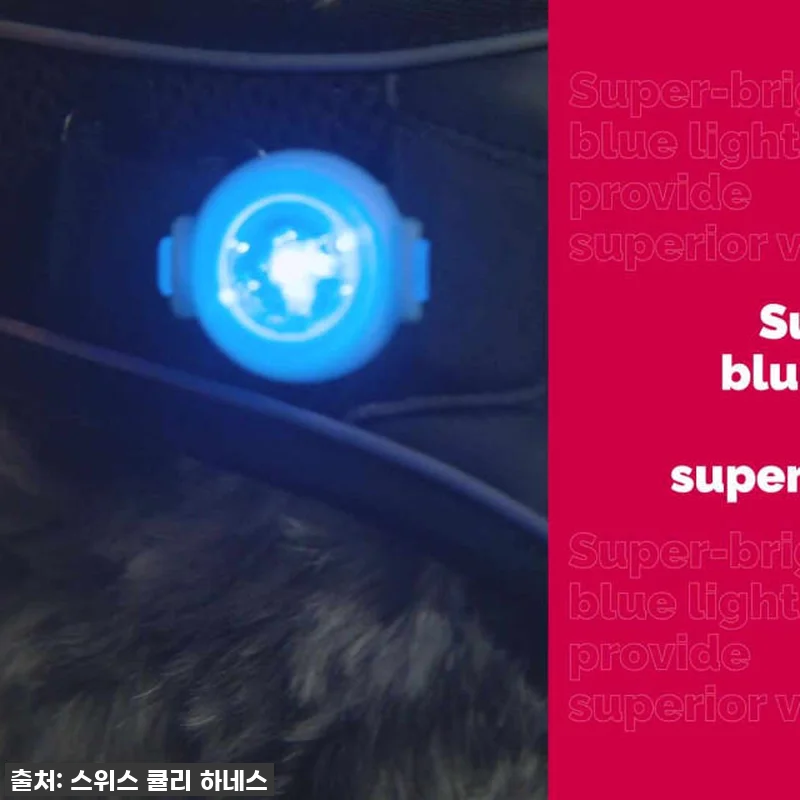 찐후기: 밤산책이 이렇게 안전하고 즐 관련 이미지 8