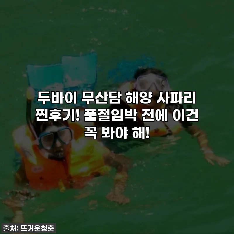 두바이 무산담 해양 사파리 찐후기! 품절임박 전에 이건 꼭 봐야 해!