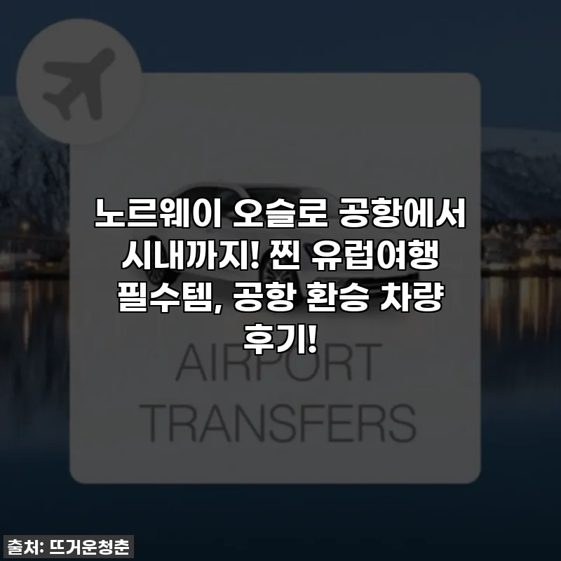 노르웨이 오슬로 공항에서 시내까지! 찐 유럽여행 필수템, 공항 환승 차량 후기!