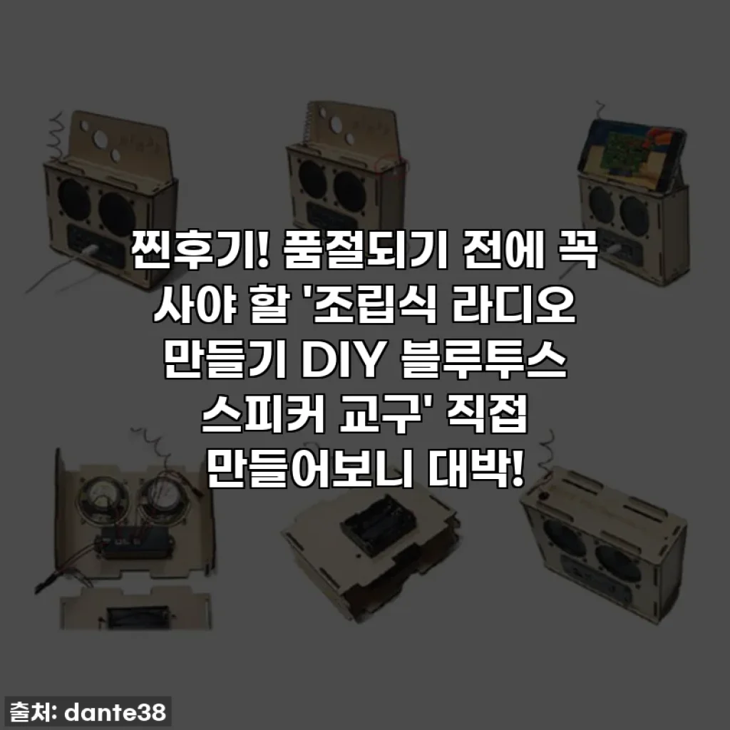 찐후기! 품절되기 전에 꼭 사야 할 '조립식 라디오 만들기 DIY 블루투스 스피커 교구' 직접 만들어보니 대박!