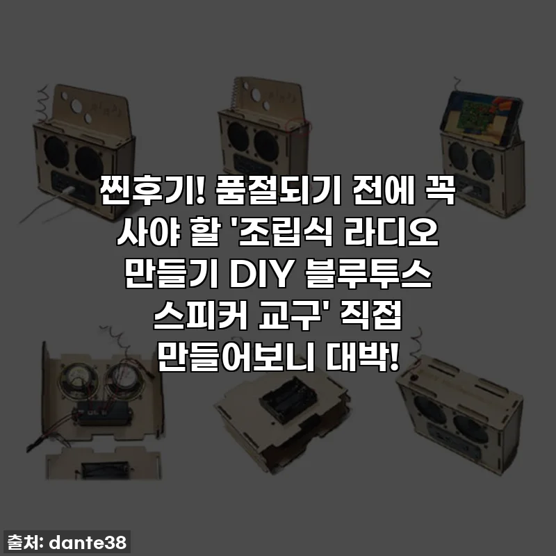 찐후기! 품절되기 전에 꼭 사야 할 '조립식 라디오 만들기 DIY 블루투스 스피커 교구' 직접 만들어보니 대박!