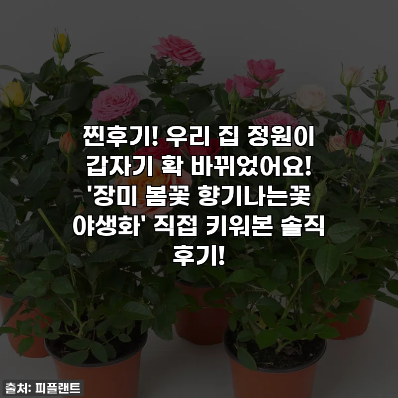 찐후기! 우리 집 정원이 갑자기 확 바뀌었어요! '장미 봄꽃 향기나는꽃 야생화' 직접 키워본 솔직 후기!