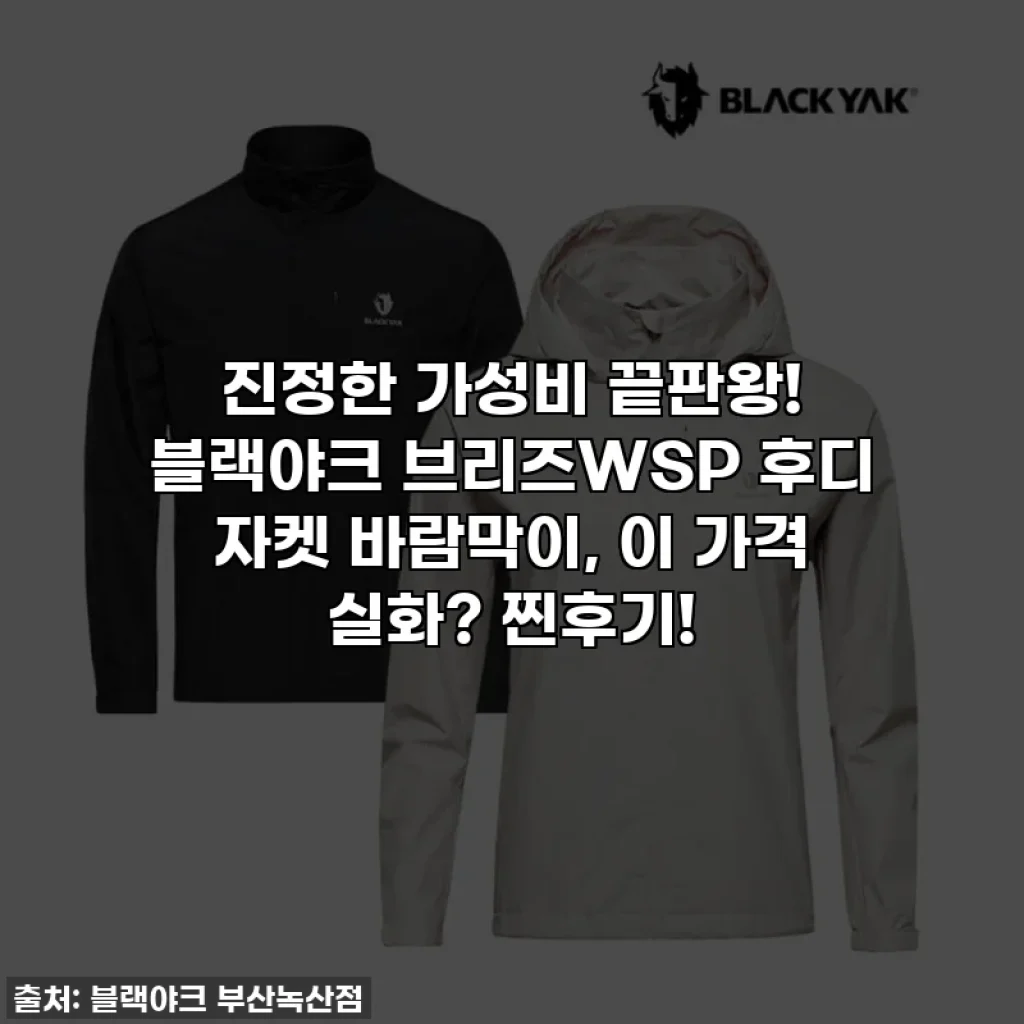 진정한 가성비 끝판왕! 블랙야크 브리즈WSP 후디 자켓 바람막이, 이 가격 실화? 찐후기!
