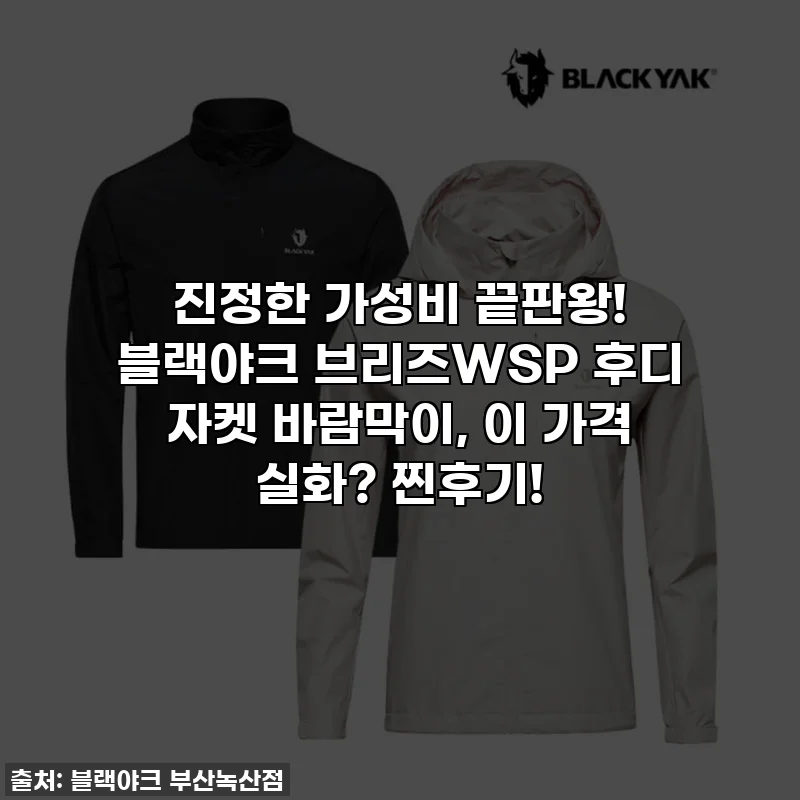 진정한 가성비 끝판왕! 블랙야크 브리즈WSP 후디 자켓 바람막이, 이 가격 실화? 찐후기!