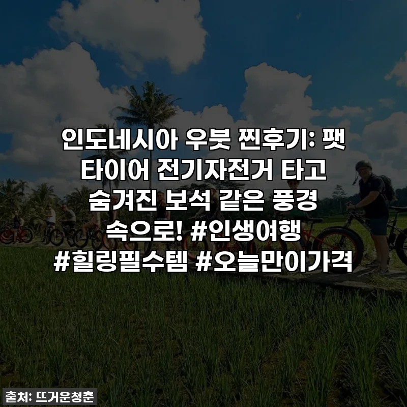 인도네시아 우붓 찐후기: 팻 타이어 전기자전거 타고 숨겨진 보석 같은 풍경 속으로! #인생여행 #힐링필수템 #오늘만이가격