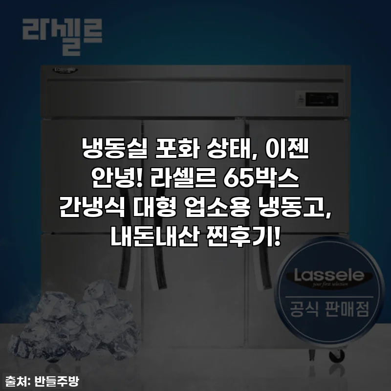냉동실 포화 상태, 이젠 안녕! 라셀르 65박스 간냉식 대형 업소용 냉동고, 내돈내산 찐후기!