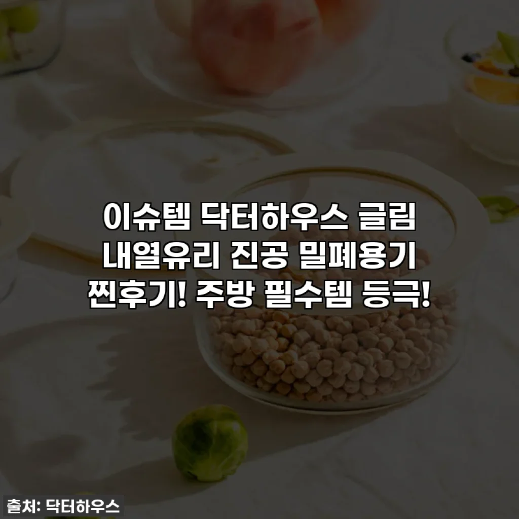 이슈템 닥터하우스 글림 내열유리 진공 밀폐용기 찐후기! 주방 필수템 등극!