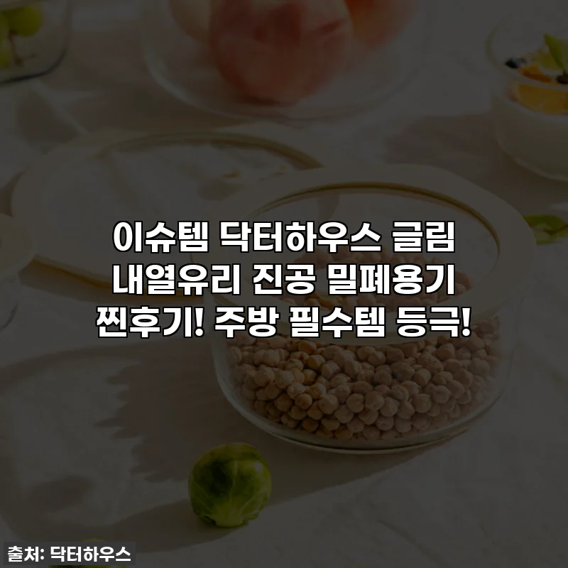 이슈템 닥터하우스 글림 내열유리 진공 밀폐용기 찐후기! 주방 필수템 등극!