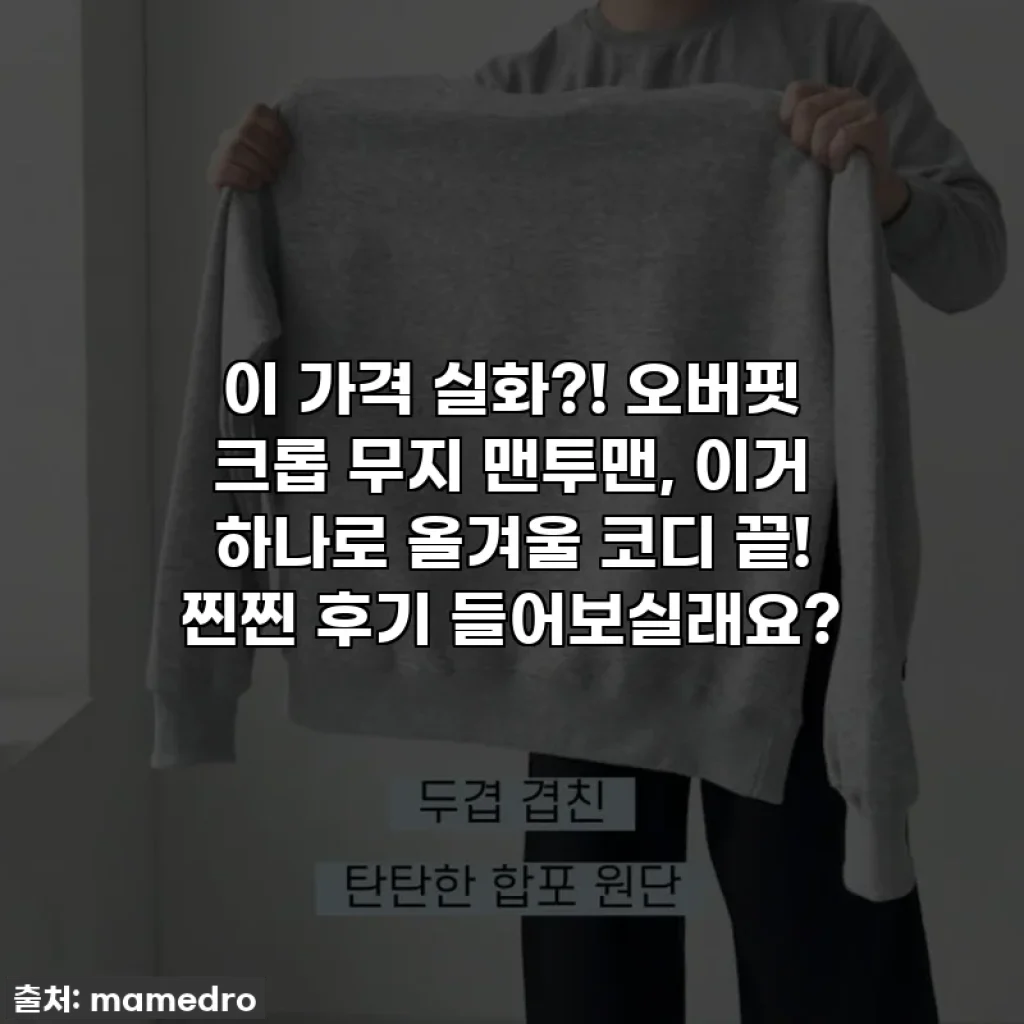 이 가격 실화?! 오버핏 크롭 무지 맨투맨, 이거 하나로 올겨울 코디 끝! 찐찐 후기 들어보실래요?