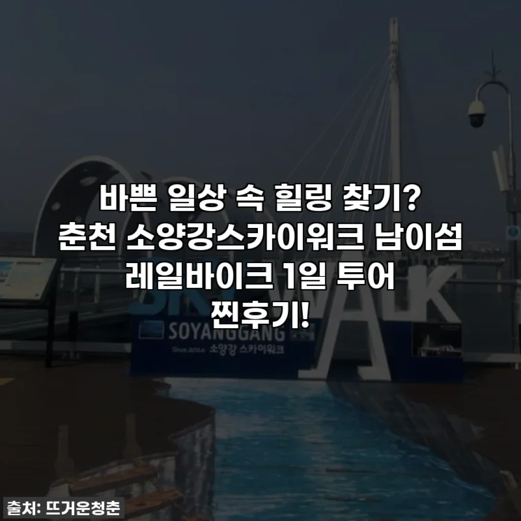 바쁜 일상 속 힐링 찾기? 춘천 소양강스카이워크 남이섬 레일바이크 1일 투어 찐후기!