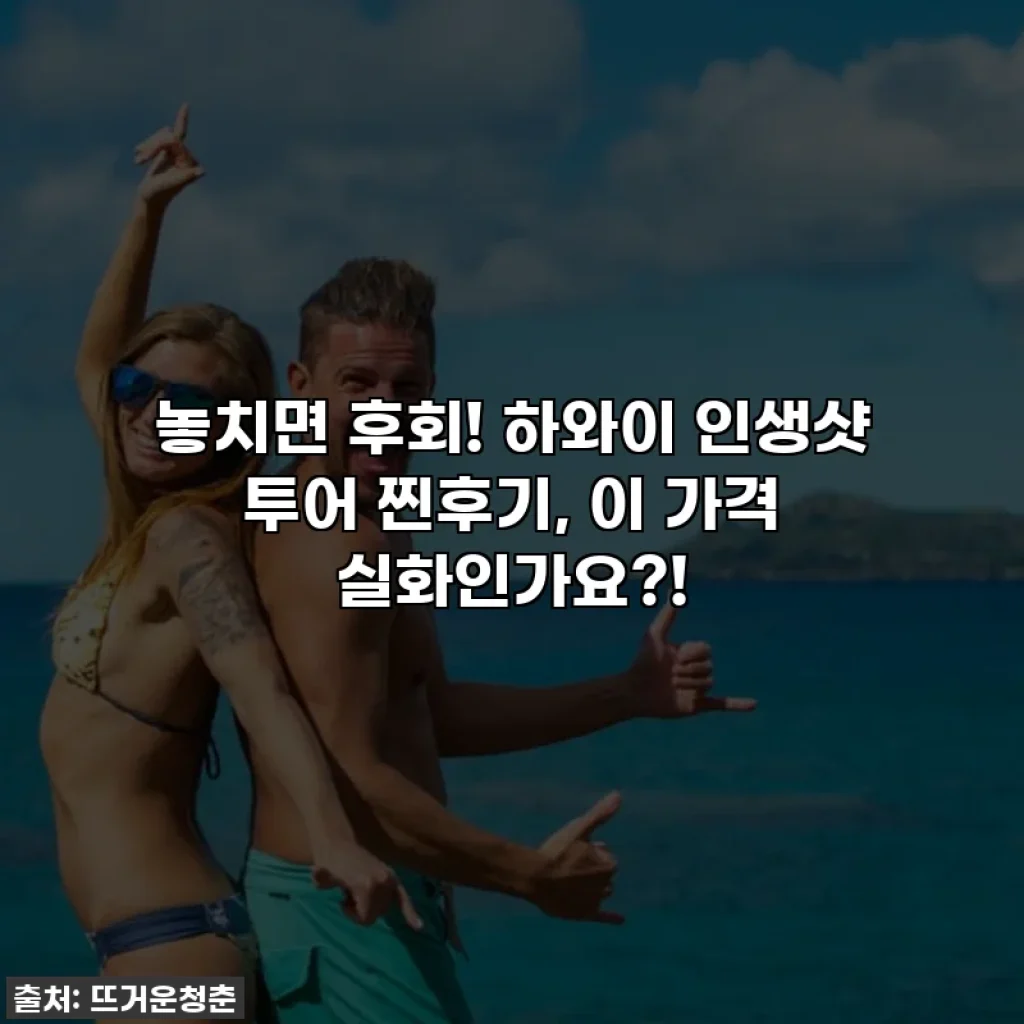놓치면 후회! 하와이 인생샷 투어 찐후기, 이 가격 실화인가요?!