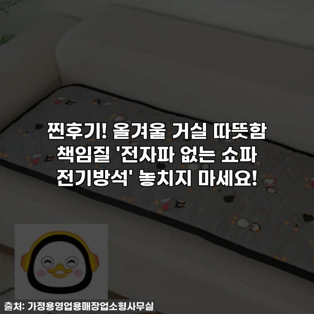 찐후기! 올겨울 거실 따뜻함 책임질 '전자파 없는 쇼파 전기방석' 놓치지 마세요!