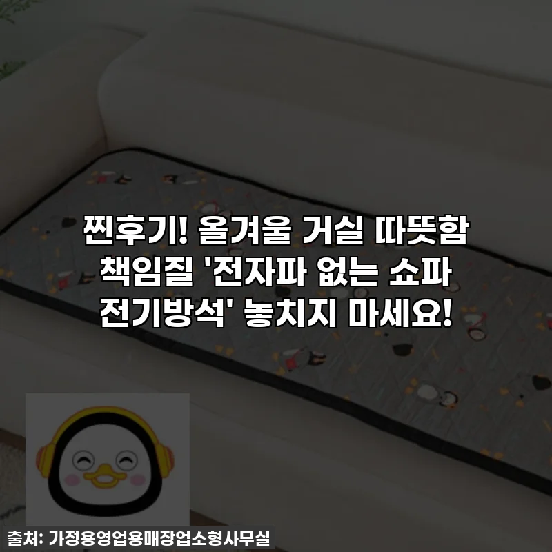 찐후기! 올겨울 거실 따뜻함 책임질 '전자파 없는 쇼파 전기방석' 놓치지 마세요!