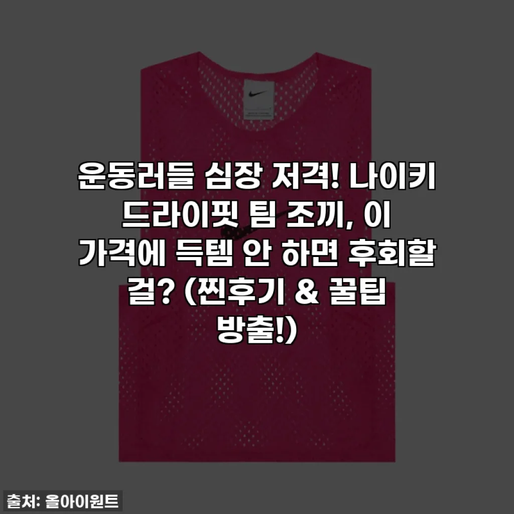 운동러들 심장 저격! 나이키 드라이핏 팀 조끼, 이 가격에 득템 안 하면 후회할 걸? (찐후기 & 꿀팁 방출!)