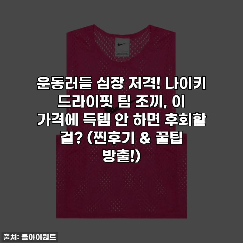 운동러들 심장 저격! 나이키 드라이핏 팀 조끼, 이 가격에 득템 안 하면 후회할 걸? (찐후기 & 꿀팁 방출!)
