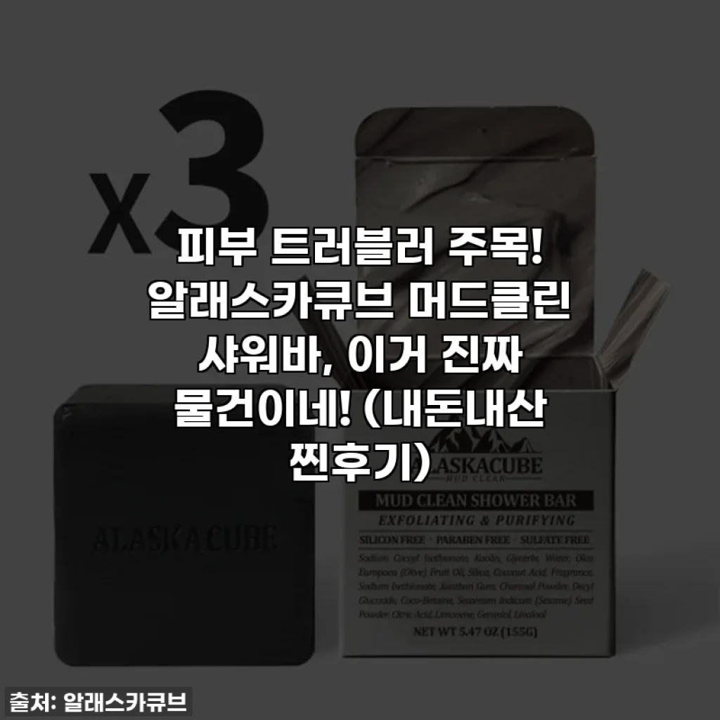 피부 트러블러 주목! 알래스카큐브 머드클린 샤워바, 이거 진짜 물건이네! (내돈내산 찐후기)