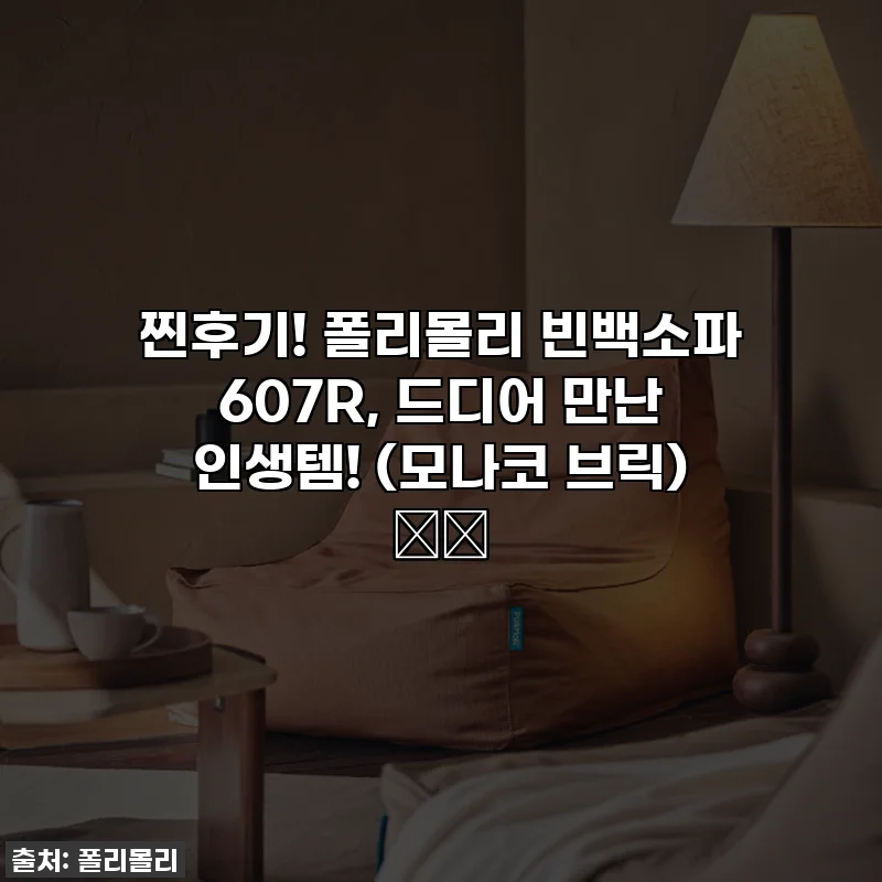 찐후기! 폴리몰리 빈백소파 607R, 드디어 만난 인생템! (모나코 브릭) 🛋️