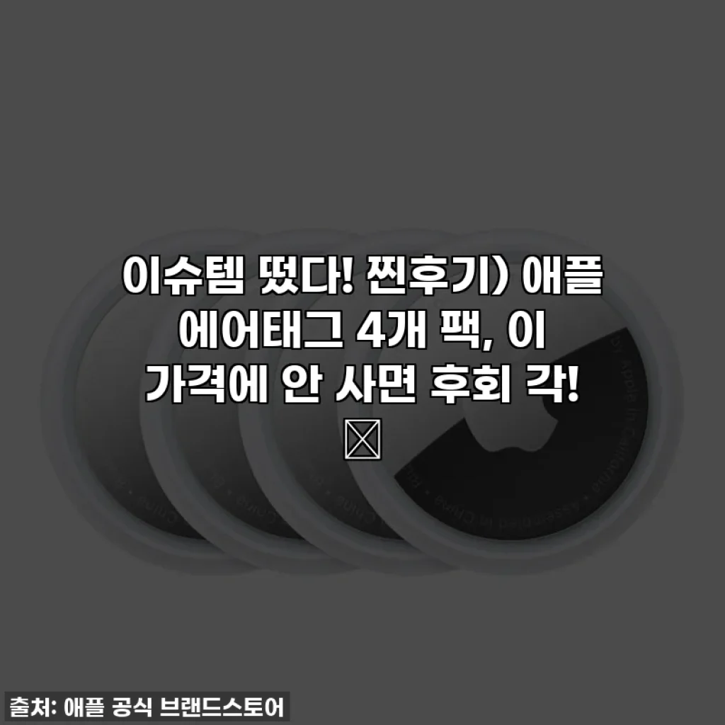 이슈템 떴다! 찐후기) 애플 에어태그 4개 팩, 이 가격에 안 사면 후회 각! ✨