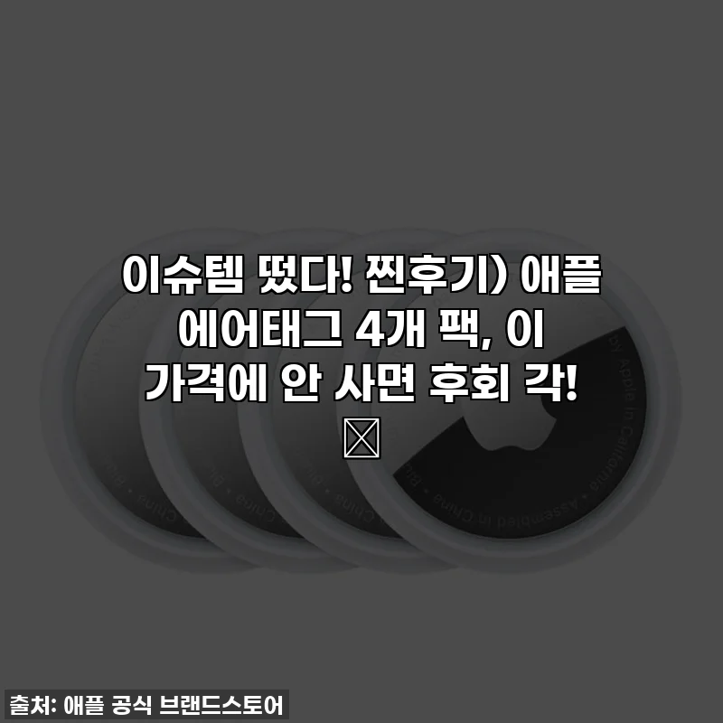 이슈템 떴다! 찐후기) 애플 에어태그 4개 팩, 이 가격에 안 사면 후회 각! ✨