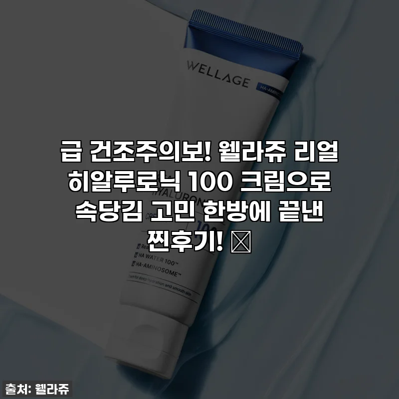 급 건조주의보! 웰라쥬 리얼 히알루로닉 100 크림으로 속당김 고민 한방에 끝낸 찐후기! ✨