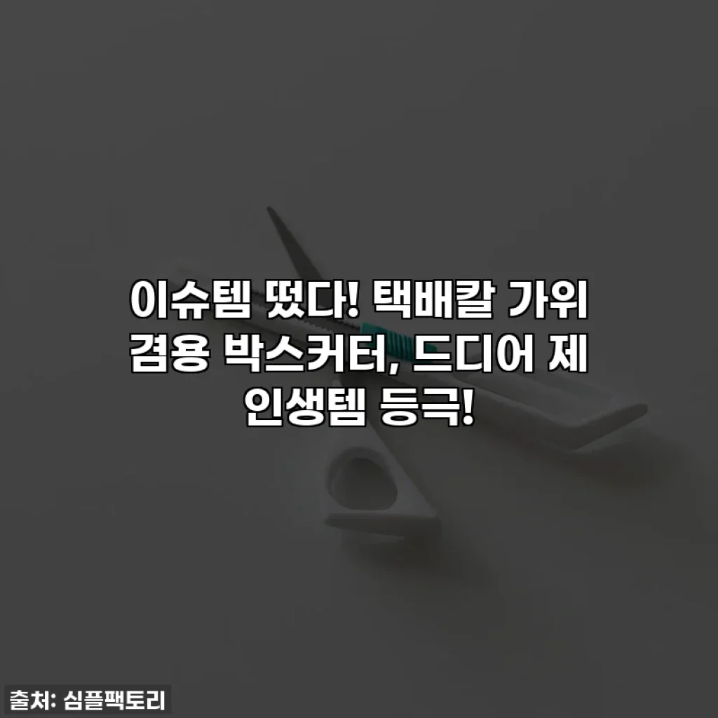 이슈템 떴다! 택배칼 가위 겸용 박스커터, 드디어 제 인생템 등극!