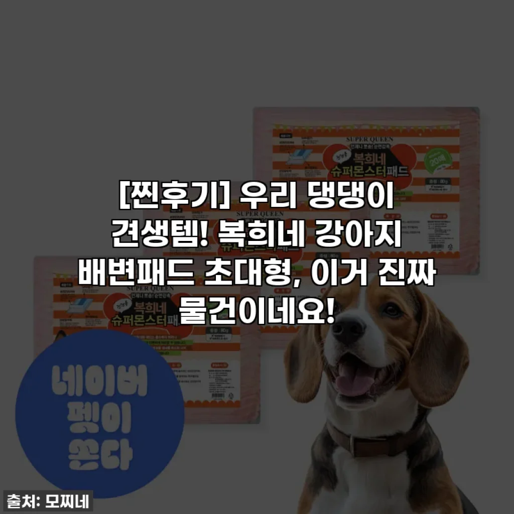 [찐후기] 우리 댕댕이 견생템! 복희네 강아지 배변패드 초대형, 이거 진짜 물건이네요!