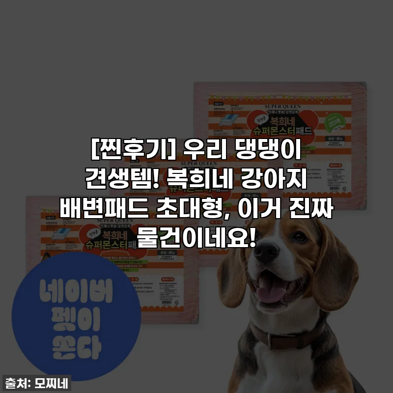 [찐후기] 우리 댕댕이 견생템! 복희네 강아지 배변패드 초대형, 이거 진짜 물건이네요!