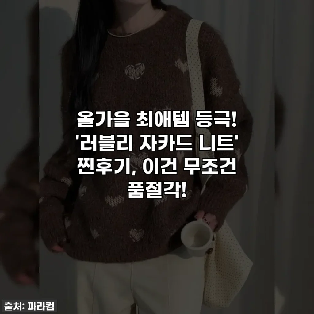 올가을 최애템 등극! '러블리 자카드 니트' 찐후기, 이건 무조건 품절각!