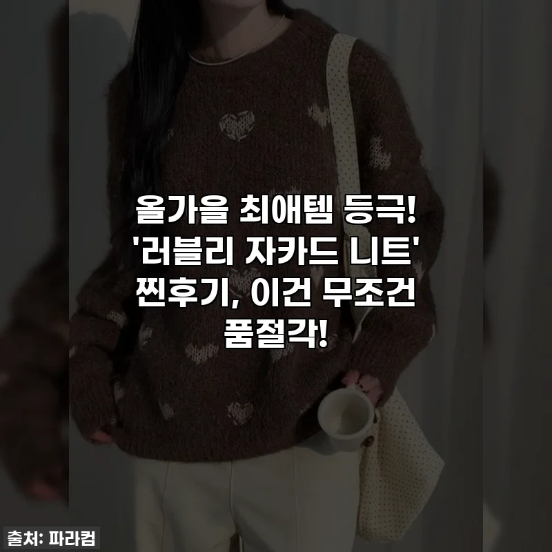 올가을 최애템 등극! '러블리 자카드 니트' 찐후기, 이건 무조건 품절각!
