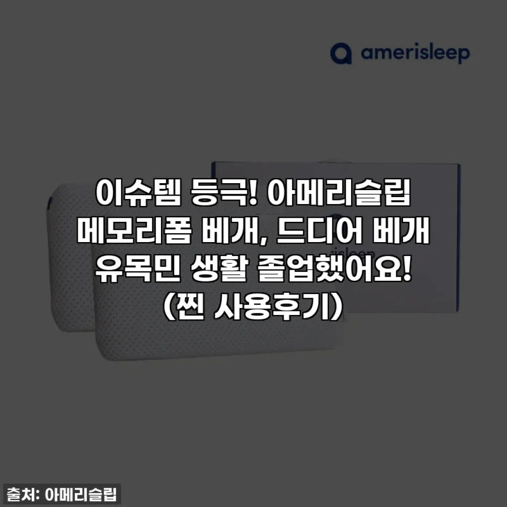 이슈템 등극! 아메리슬립 메모리폼 베개, 드디어 베개 유목민 생활 졸업했어요! (찐 사용후기)