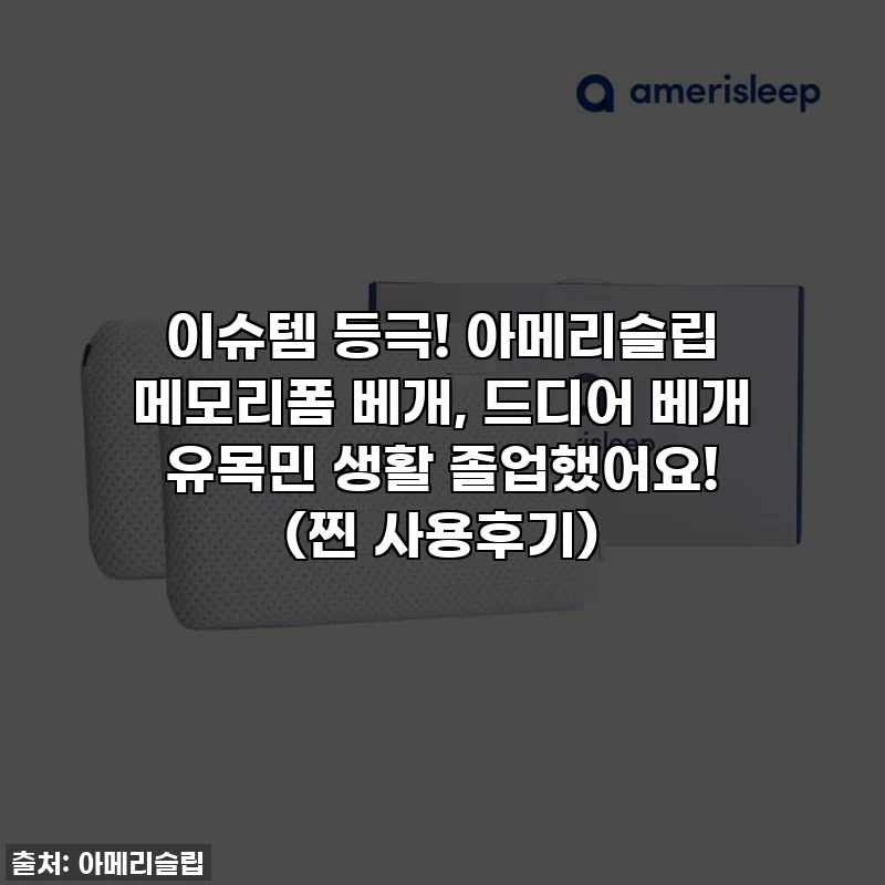 이슈템 등극! 아메리슬립 메모리폼 베개, 드디어 베개 유목민 생활 졸업했어요! (찐 사용후기)
